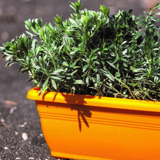 ΖΑΡΝΤΙΝΙΕΡΑ ΧΡΩΜΑΤΙΣΤΗ 58cm x 21,5cm x 18cm (ΚΩΔ 492)