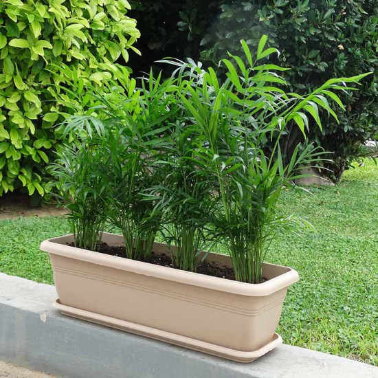 ΖΑΡΝΤΙΝΙΕΡΑ ΧΡΩΜΑΤΙΣΤΗ 58cm x 21,5cm x 18cm (ΚΩΔ 492)