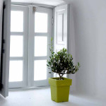 ΓΛΑΣΤΡΑ ΤΕΤΡΑΓΩΝΗ LINEA 2,5 ΛΙΤΡΑ (ΚΩΔ. 570)