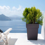 ΓΛΑΣΤΡΑ ΤΕΤΡΑΓΩΝΗ LINEA 17 ΛΙΤΡΑ (ΚΩΔ 572)