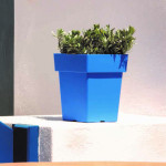 ΓΛΑΣΤΡΑ ΤΕΤΡΑΓΩΝΗ LINEA 17 ΛΙΤΡΑ (ΚΩΔ 572)