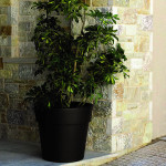 ΓΛΑΣΤΡΑ ΧΡΩΜΑΤΙΣΤΗ LINEA 2 ΛΙΤΡΑ ( ΚΩΔ. 869)