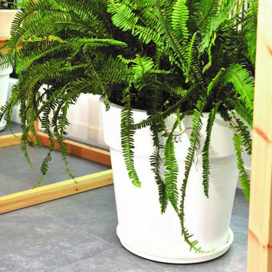 ΓΛΑΣΤΡΑ ΧΡΩΜΑΤΙΣΤΗ LINEA 2 ΛΙΤΡΑ ( ΚΩΔ. 869)