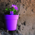 ΓΛΑΣΤΡΑ ΧΡΩΜΑΤΙΣΤΗ LINEA 44 ΛΙΤΡΑ (ΚΩΔ. 875)