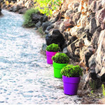 ΓΛΑΣΤΡΑ ΧΡΩΜΑΤΙΣΤΗ LINEA 44 ΛΙΤΡΑ (ΚΩΔ. 875)