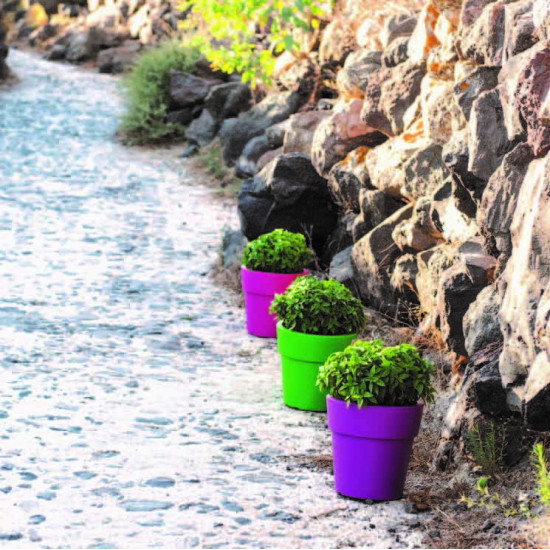 ΓΛΑΣΤΡΑ ΧΡΩΜΑΤΙΣΤΗ LINEA 44 ΛΙΤΡΑ (ΚΩΔ. 875)